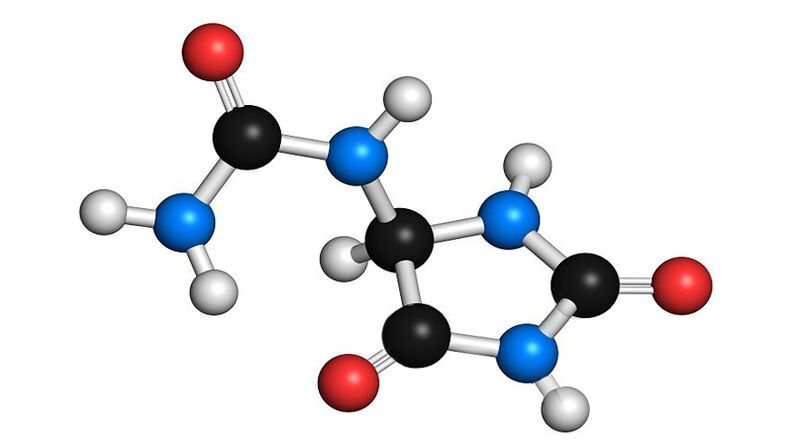 Alantoína e pantenol en Hondrolife